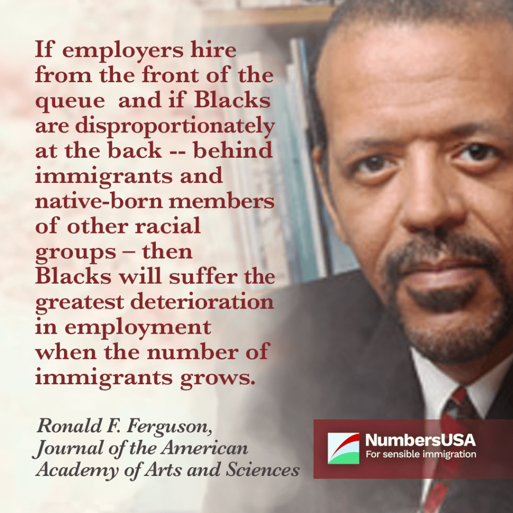 Ferguson: "Blacks will suffer the greatest deterioration in unemployment when the number of immigrants grows."